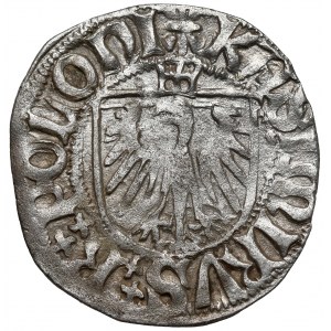 Kazimierz IV Jagiellończyk, Szeląg Gdańsk - lilia