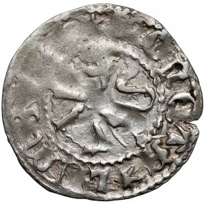 Władysław II Jagiełło, Kwartnik lwowski - duży lew