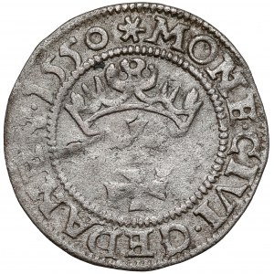 Zygmunt II August, Szeląg Gdańsk 1550 - RZADKI