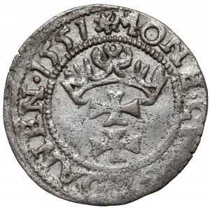 Zygmunt II August, Szeląg Gdańsk 1551