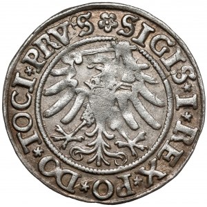 Zygmunt I Stary, Grosz Elbląg 1533 - pierwszy