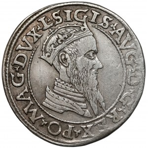 Zygmunt II August, Czworak Wilno 1565