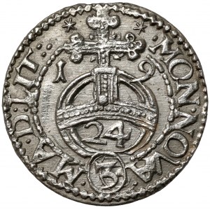 Zygmunt III Waza, Półtorak Wilno 1619