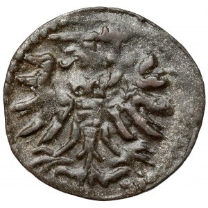 Zygmunt II August, Denar Gdańsk 1554