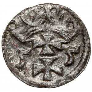 Zygmunt II August, Denar Gdańsk 1555
