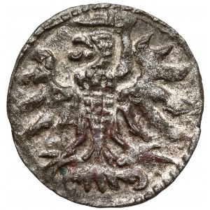 Zygmunt II August, Denar Gdańsk 1555