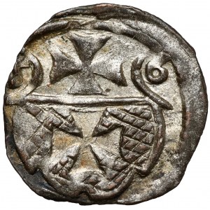 Zygmunt II August, Denar Elbląg 1556