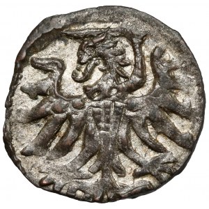 Zygmunt II August, Denar Elbląg 1556