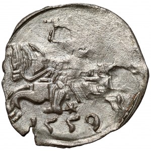 Zygmunt II August, Denar Wilno 1559