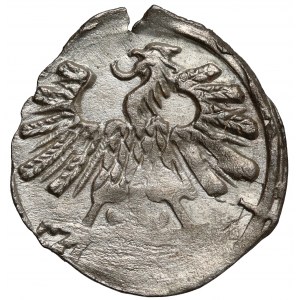 Zygmunt II August, Denar Wilno 1559