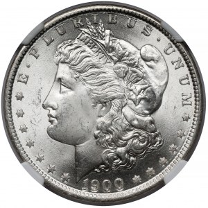 USA, Dolar 1900-O, New Orleans - Morgan Dollar