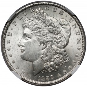 USA, Dolar 1889, Philadelphia - Morgan Dollar