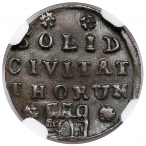 August III Sas, Szeląg Toruń 1761 - cztery rozety