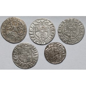 Zygmunt II August, Zygmunt III Waza i Gustaw II Adolf, Półgrosz, Półtoraki i Szeląg - zestaw (5szt)