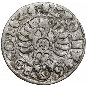 Zygmunt III Waza, Grosz Bydgoszcz 1624 - gwiazdki