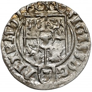 Zygmunt III Waza, Półtorak Bydgoszcz 1623 - w tarczy