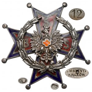 Odznaka, 5 Batalion Sanitarny [12] - w SREBRZE