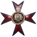 Badge, Sanitary Training Center - Wyszomirski
