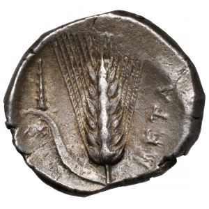 Grecja, Lukania, Metapontum, Nomos (340-330 p.n.e.)