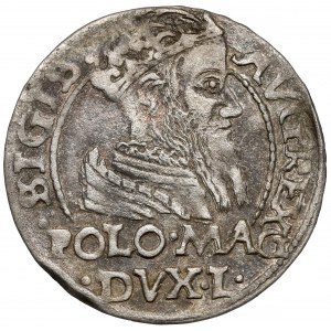 Zygmunt II August, Grosz na stopę polską 1566, Tykocin