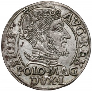 Zygmunt II August, Grosz na stopę polską 1547, Wilno