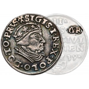 Zygmunt I Stary, Trojak Gdańsk 1539 - z BŁĘDEM