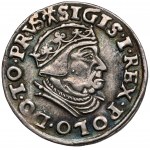 Zygmunt I Stary, Trojak Gdańsk 1539 - z BŁĘDEM