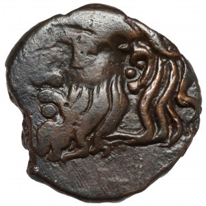 Grecja, Olbia (300-275 p.n.e.) AE21