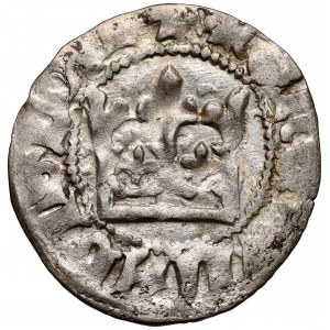 Władysław II Jagiełło, Półgrosz Kraków - typ 12 - bez znaku
