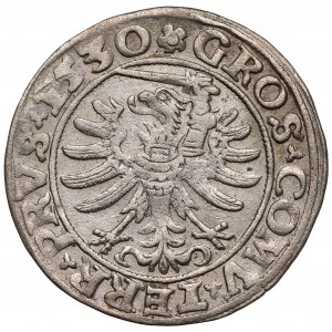 Zygmunt I Stary, Grosz Toruń 1530