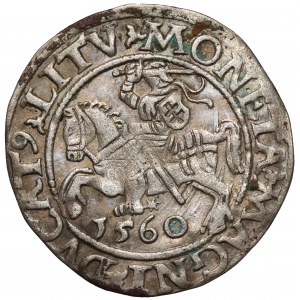 Zygmunt II August, Półgrosz Wilno 1560