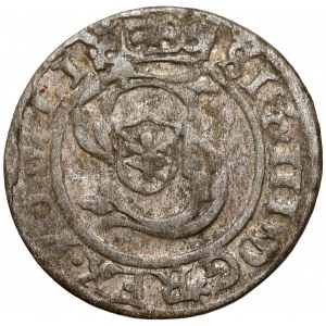 Zygmunt III Waza, Szeląg Ryga 1600