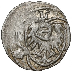 Śląsk, Ks. Legnicko-Brzeskie, Halerz Legnica (1423-1436)