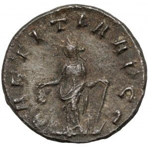 Walerian (253-260 n.e.) Antoninian, Antiochia