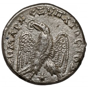 Karakalla (198-217 n.e.) Tetradrachma, Laodicea ad Mare