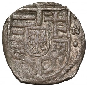 Węgry, Ludwik II Jagiellończyk, Denar