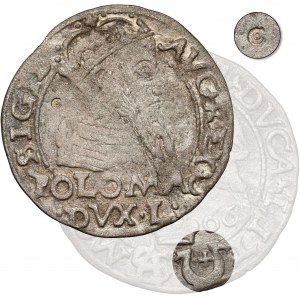 Zygmunt II August, Grosz 1566, Tykocin - JASTRZĘBIEC - ex. Czapski