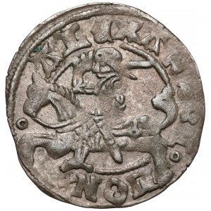 Aleksander Jagiellończyk, Półgrosz Wilno - renesansowy