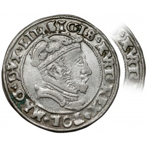 Zygmunt II August, Grosz na stopę litewską 1546, Wilno - AVGG