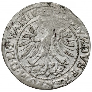 Zygmunt I Stary, Grosz Wilno 1535