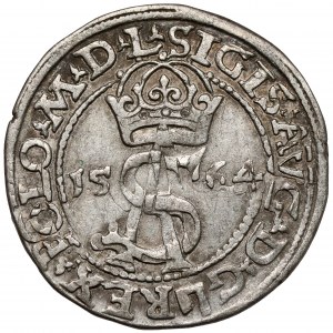 Zygmunt II August, Trojak Wilno 1564
