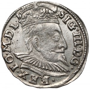 Zygmunt III Waza, Trojak Wilno 1596 - Koste