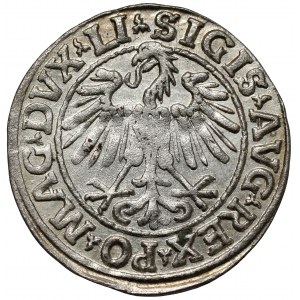 Zygmunt II August, Półgrosz Wilno 1547