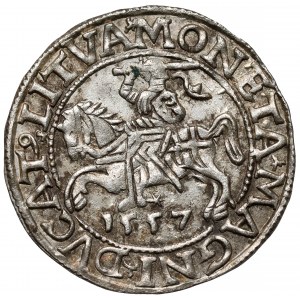 Zygmunt II August, Półgrosz Wilno 1557