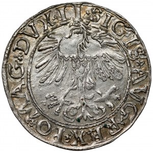 Zygmunt II August, Półgrosz Wilno 1557