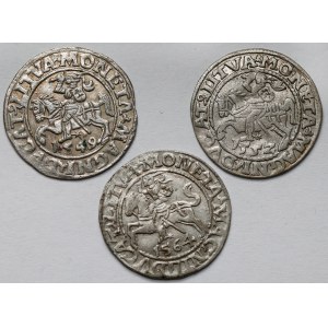 Zygmunt II August, Półgrosz Wilno 1549-1564 - zestaw (3szt)