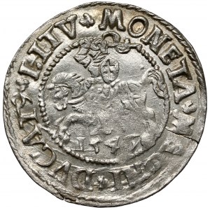 Zygmunt II August, Półgrosz Wilno 1546