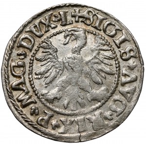 Zygmunt II August, Półgrosz Wilno 1546
