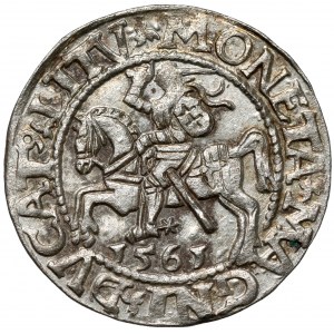 Zygmunt II August, Półgrosz Wilno 1561