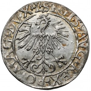 Zygmunt II August, Półgrosz Wilno 1561